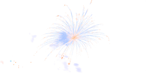 Fireworks in the sky: A dazzling display of fireworks illuminates the night sky, showcasing bursts of vibrant color and intricate patterns during a festive celebration. fireworks for diwali, new year.