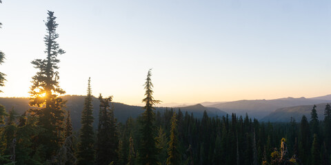 Sun shining through trees in a forest with mountains in the distance at sunset or sunrise time © Rodrigo