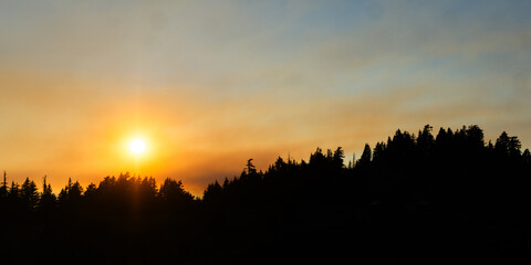 Silhouette of trees against a vibrant sunset sky with warm colors and hazy atmosphere in the distance © Rodrigo