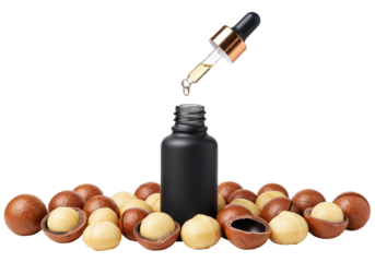 Isolated macadamia nuts with essential oil dropper and black bottle for aromatherapy beauty