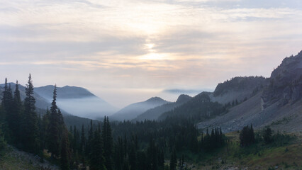 Obraz premium A scenic view of misty mountains and trees under a bright sky at sunrise or sunset in nature landscape