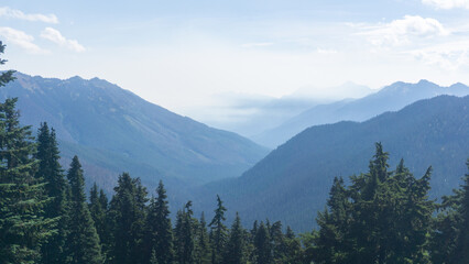 Overlook of hazy blue mountains through a forest of evergreen trees on a sunny day outdoors