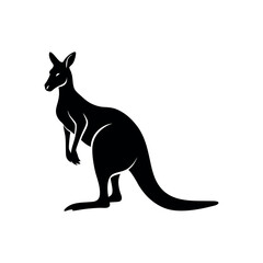 kangaroo vector illustration