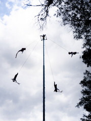 Traditional Papantla flyers (Voladores de Papantla) performing their aerial ritual, descending from a tall pole as part of an indigenous ceremonial dance in Mexico.