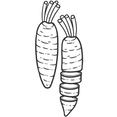 black outline radish illustration