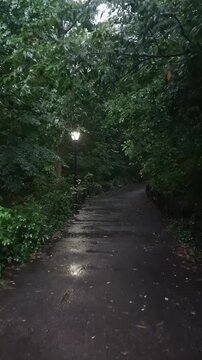 Light Rain Drizzle on Park Pathway Surrounded by Trees, Relaxing Nature Ambience ASMR 4K