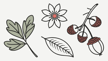 Collection of handdrawn botanical elements including a flower, leaves, and acorns