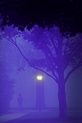 Dartmouth College student walking. 