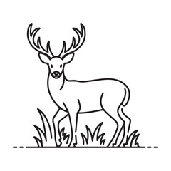 Fototapeta premium Majestic stag with antlers standing in grass simple outline art for nature projects isolated on white background silhouette vector