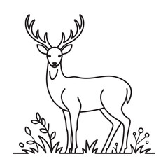 Obraz premium Majestic stag with antlers standing in meadow detailed line art cartoon outline art isolated on white background silhouette vector