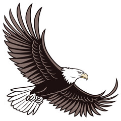 Fototapeta premium Illustration of an eagle in flight with spread wings