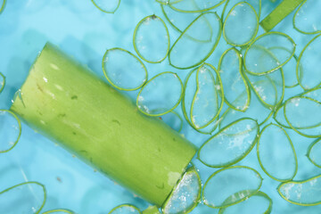 Close-up Top View of Sliced Aloe Vera Pieces Floating in a Blue Basin