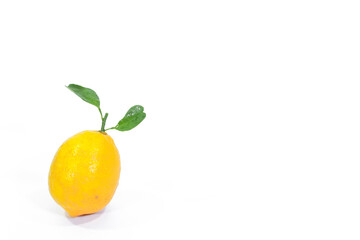 Yellow Lemon with Leaves on a White Background