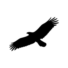 Obraz premium A majestic black silhouette of an eagle soaring in flight against white background