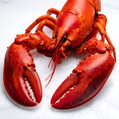Vibrant red lobster on white surface