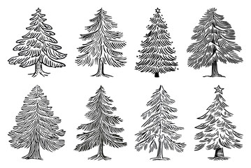 Obraz premium PNG Vintage evergreen tree illustrations, element set on transparent background