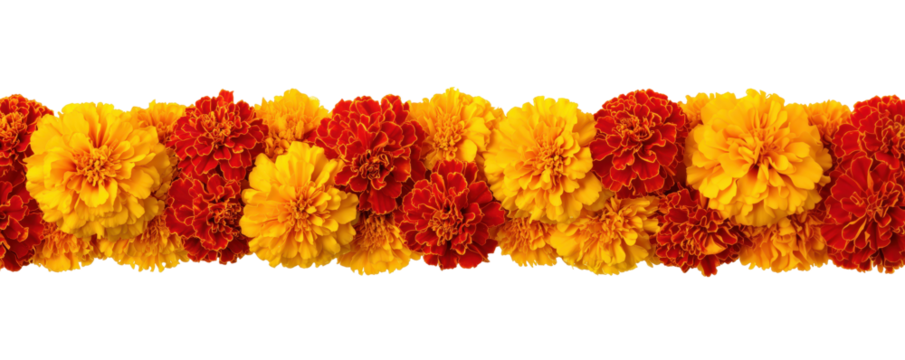 Vibrant Marigold Garland: A close-up shot captures a vibrant, long marigold garland, its bright orange and yellow hues bursting with color.