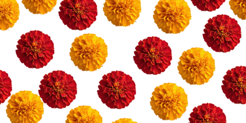 Floral Symphony: An eye-level shot of a pattern, where vibrant orange and red flowers elegantly adorn, exuding a burst of fresh color and vitality.