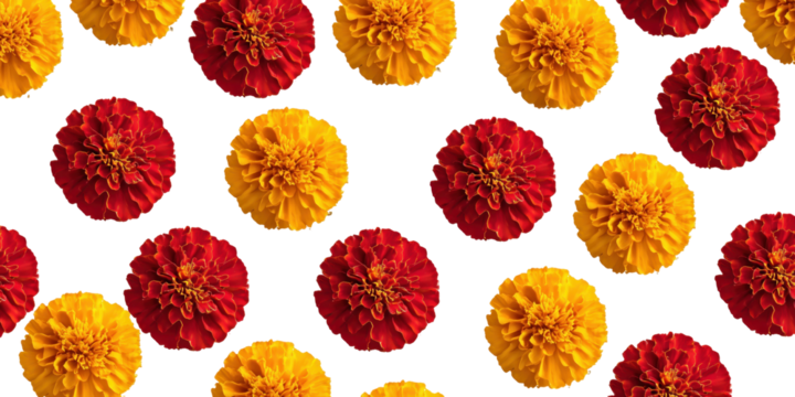 Floral Symphony: An eye-level shot of a pattern, where vibrant orange and red flowers elegantly adorn, exuding a burst of fresh color and vitality.