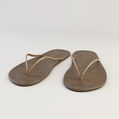 flip flop isolated on white background