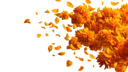 Golden Blooms in Flight: A vibrant and vivid array of marigold flowers and petals takes flight in this lively and energetic photograph. Capture the beautiful of nature and the season.