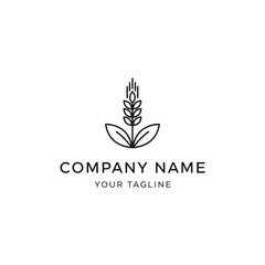 Minimalist line art logo featuring a stylized wheat stalk or grain plant with leaves, suitable for agriculture, food, or natural product businesses.
