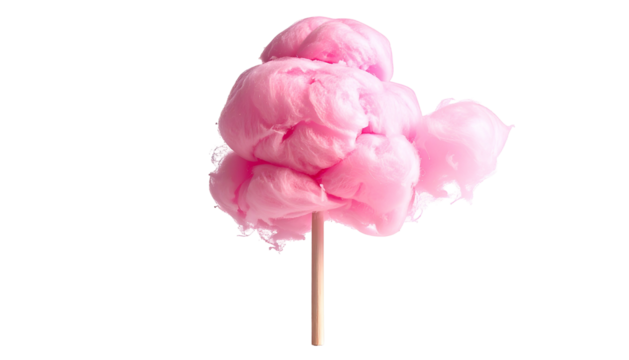 Fluffy pink confection, light and airy treat on a wooden stick