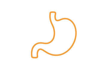 Fototapeta premium Stylized human stomach outline on transparent background, orange sketch