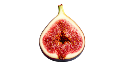 Cross-section of ripe fig fruit with red flesh and seeds