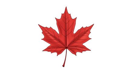 Isolated illustration of red maple leaf, symbol of Canada in autumn, botanical art