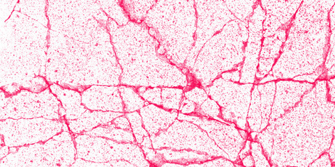 Vector marble pattern with white and black cracks Transparent texture. Distressed Grunge Texture. Seamless Pattern. a black and white vintage vector of a cracked wall, 