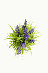 artificial lavender in a grey pot on a light background
