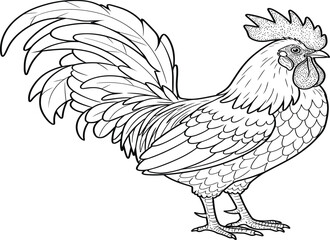 Black and white illustration of a rooster with detailed feathers and a prominent comb.
