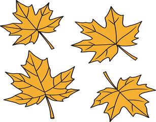 Four golden maple leaves with black outlines on a white background.