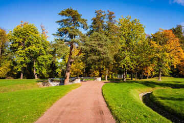 Beautiful autumn landscape. Trees with yellow leaves and a path in the park, Alexandria Park, Peterhof, Saint Petersburg, Russia