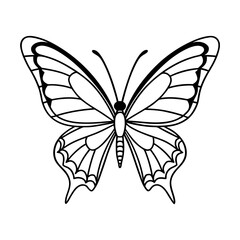 butterfly vector illustration