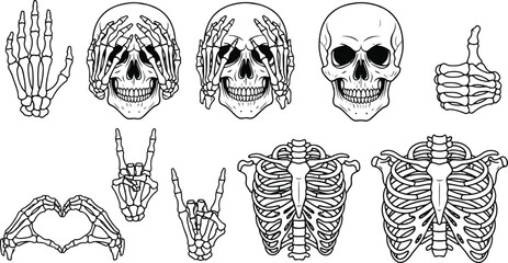 Skeleton hands and skulls in various poses bone anatomy