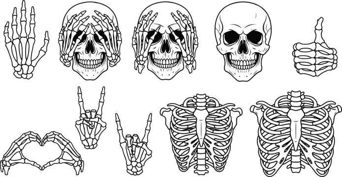 Skeleton hands and skulls in various poses bone anatomy