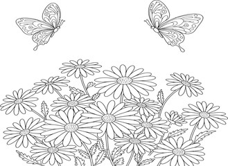 Detailed line art of daisies and butterflies, ready for coloring.
