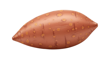 Isolated sweet potato with an oblong shape and reddish-brown skin with small circular spots
