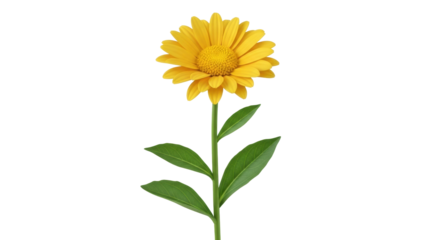 Isolated yellow daisy stands gracefully against a neutral backdrop, its petals glowing