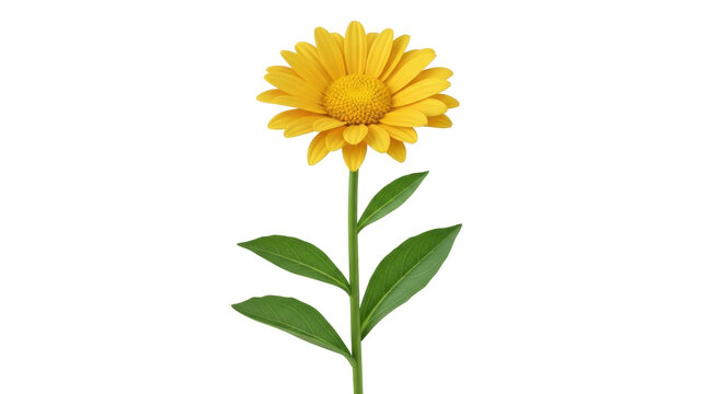 Isolated yellow daisy stands gracefully against a neutral backdrop, its petals glowing - Powered by Adobe