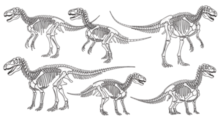 Six detailed stylized dinosaur illustrations with abstract patterns isolated on white background