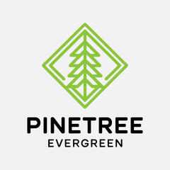 Square green pine tree in line concept