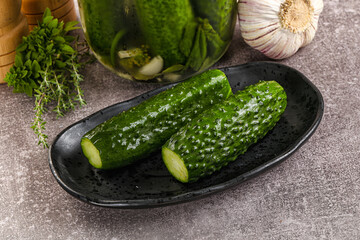 Homemade lighty salted cucumbers with herbs