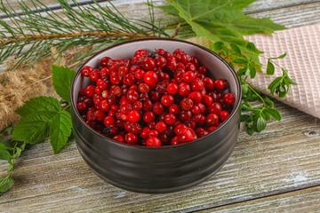 Natural organic wild forwst lingonberry