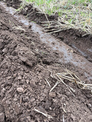 Fototapeta premium A partly ploughed field in September, North Yorkshire, England, United Kingdom