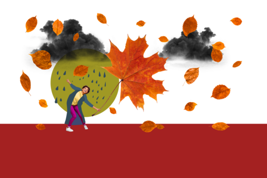 Composite photo collage of happy girl dance autumn rain drop cyclone storm foliage season umbrella leaves isolated on painted background