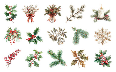 Festive botanical holiday decorations collection.
