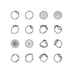 Flat Lemon Vector Icon Set – Minimal Citrus Fruit Symbols for Web, App, and Food Design